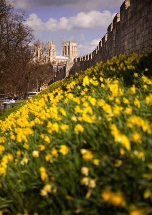 Shambles Suites In The Centre Of York, Sleeps 16 Экстерьер фото